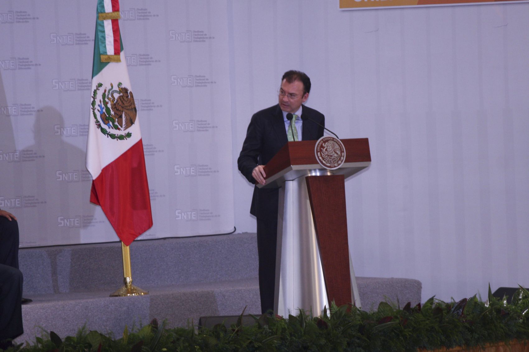 Renta Videgaray jardín de 3 mdp a Grupo Higa; “es un terreno con pasto”, dice el funcionario