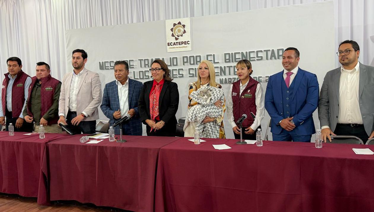 Alistan Edomex y Ecatepec jornadas de vacunación y esterilización de animales de calle