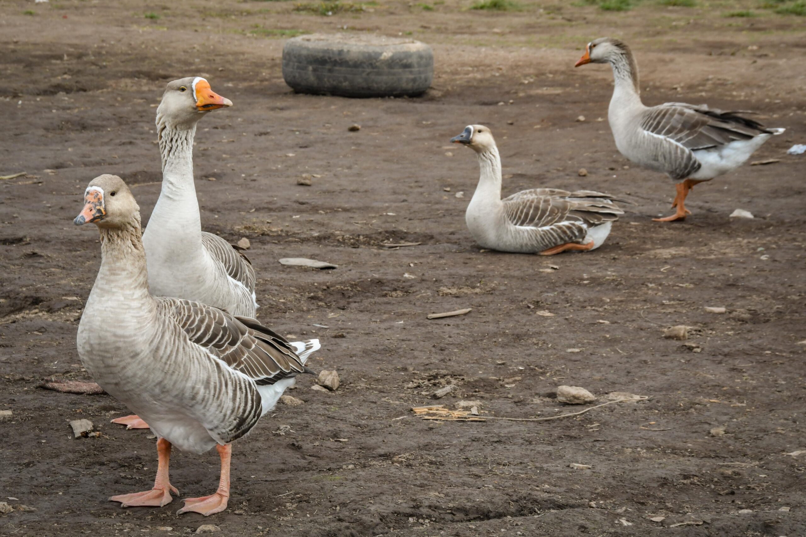Impulsa Congreso local conservación y gestión hídrica en Edomex