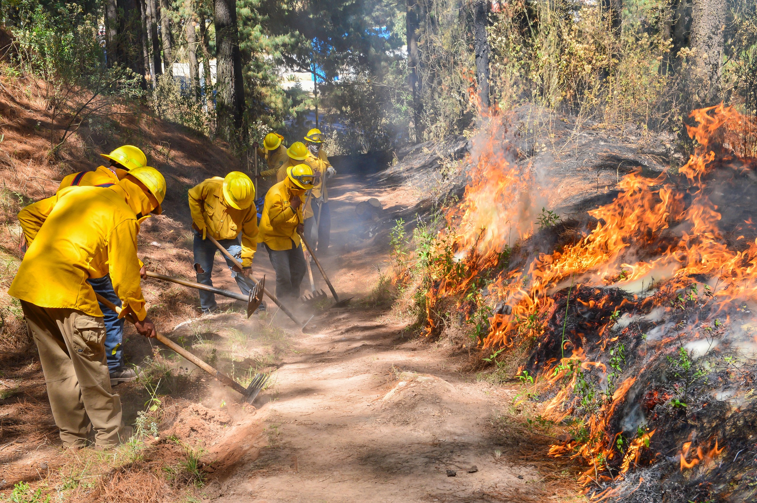 Se castigará hasta con 10 años de cárcel a quien provoque incendios forestales en Edomex