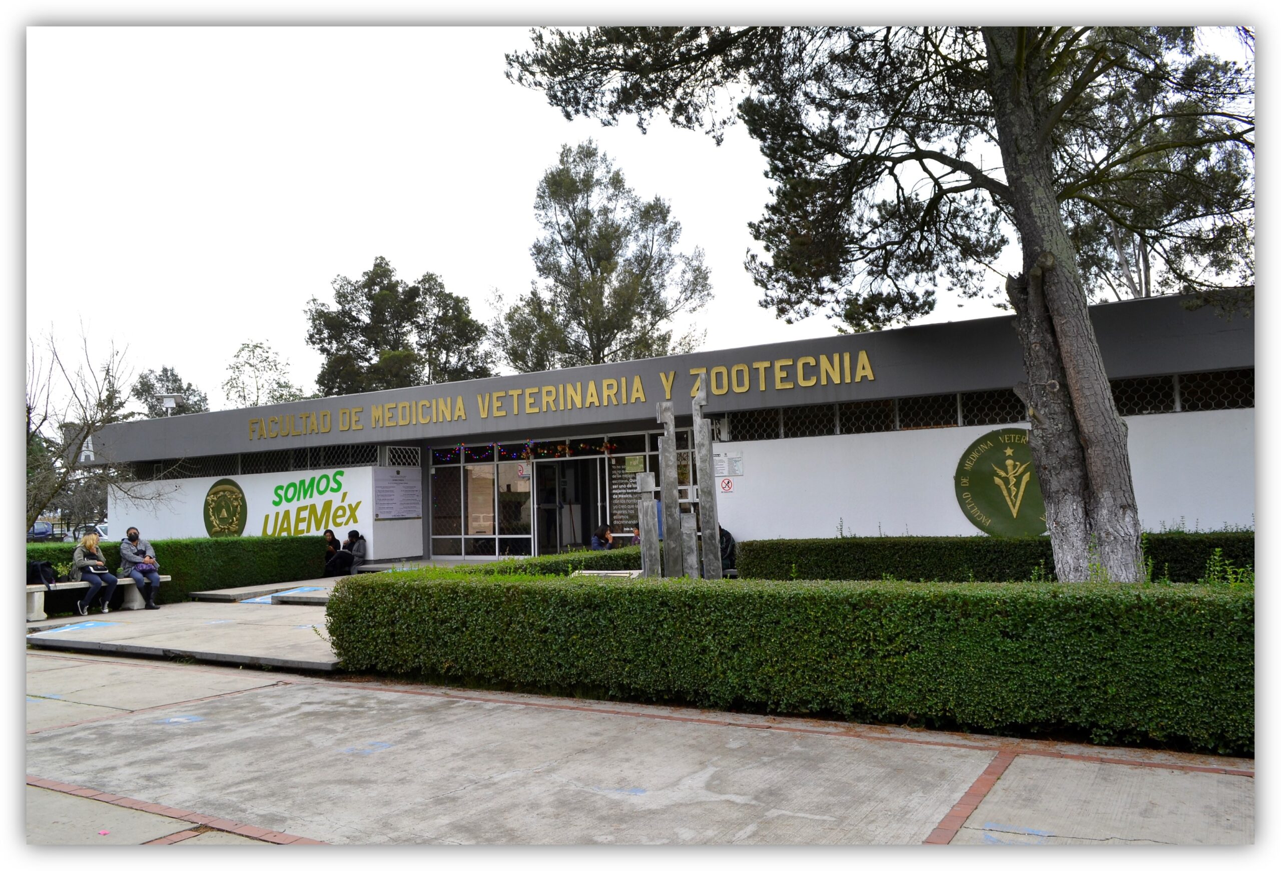 ¡Envenenan perros en campus de UAEMex! Eréndira acusa a la “guerra sucia”; fueron directivos, denuncian en redes