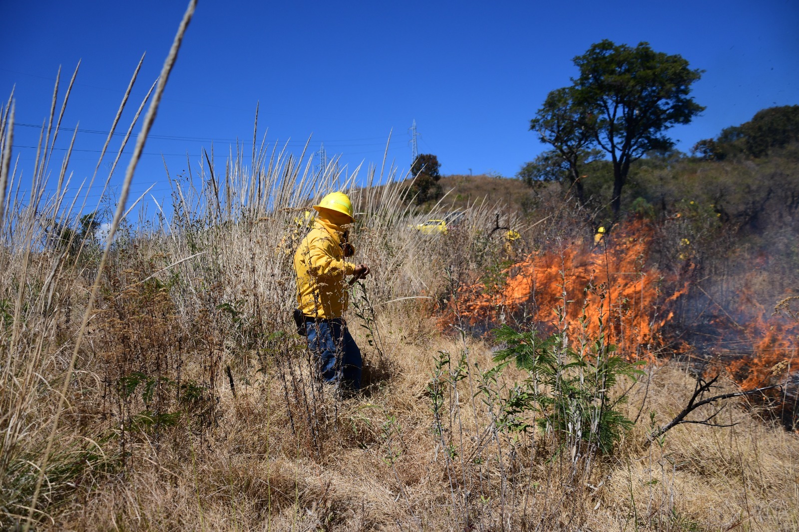 Refuerza GEM brigadas de atención a incendios forestales durante Semana Santa