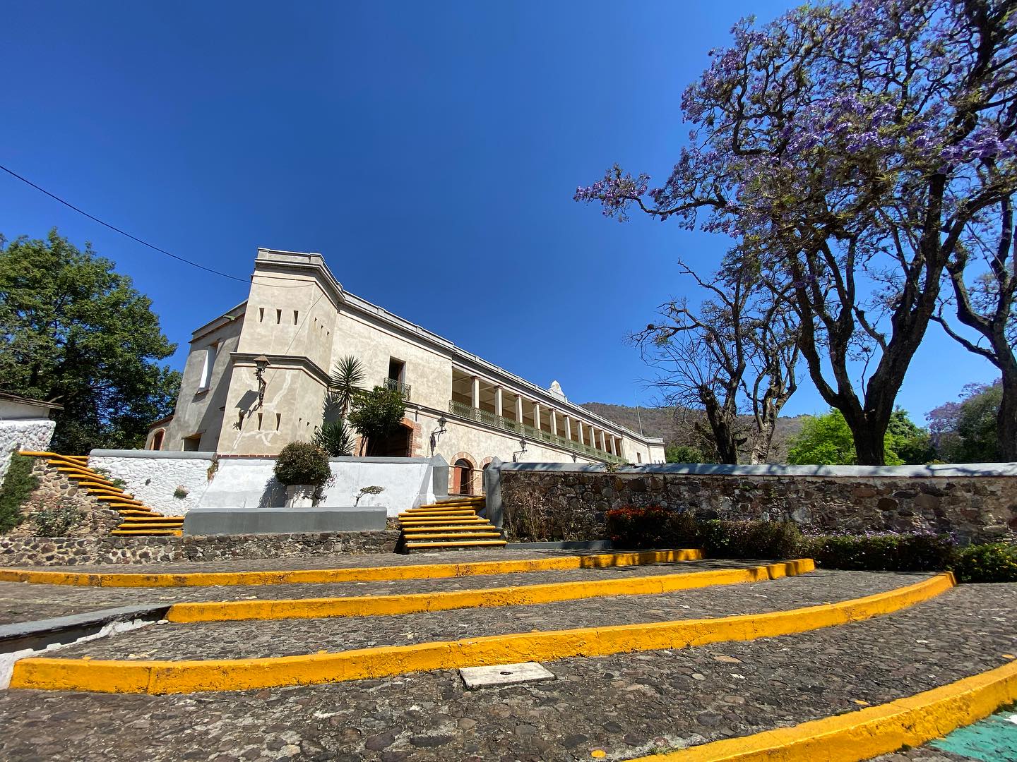 Reanudarán clases Centros Universitarios del Valle de México y Tenancingo, el lunes 19 de mayo