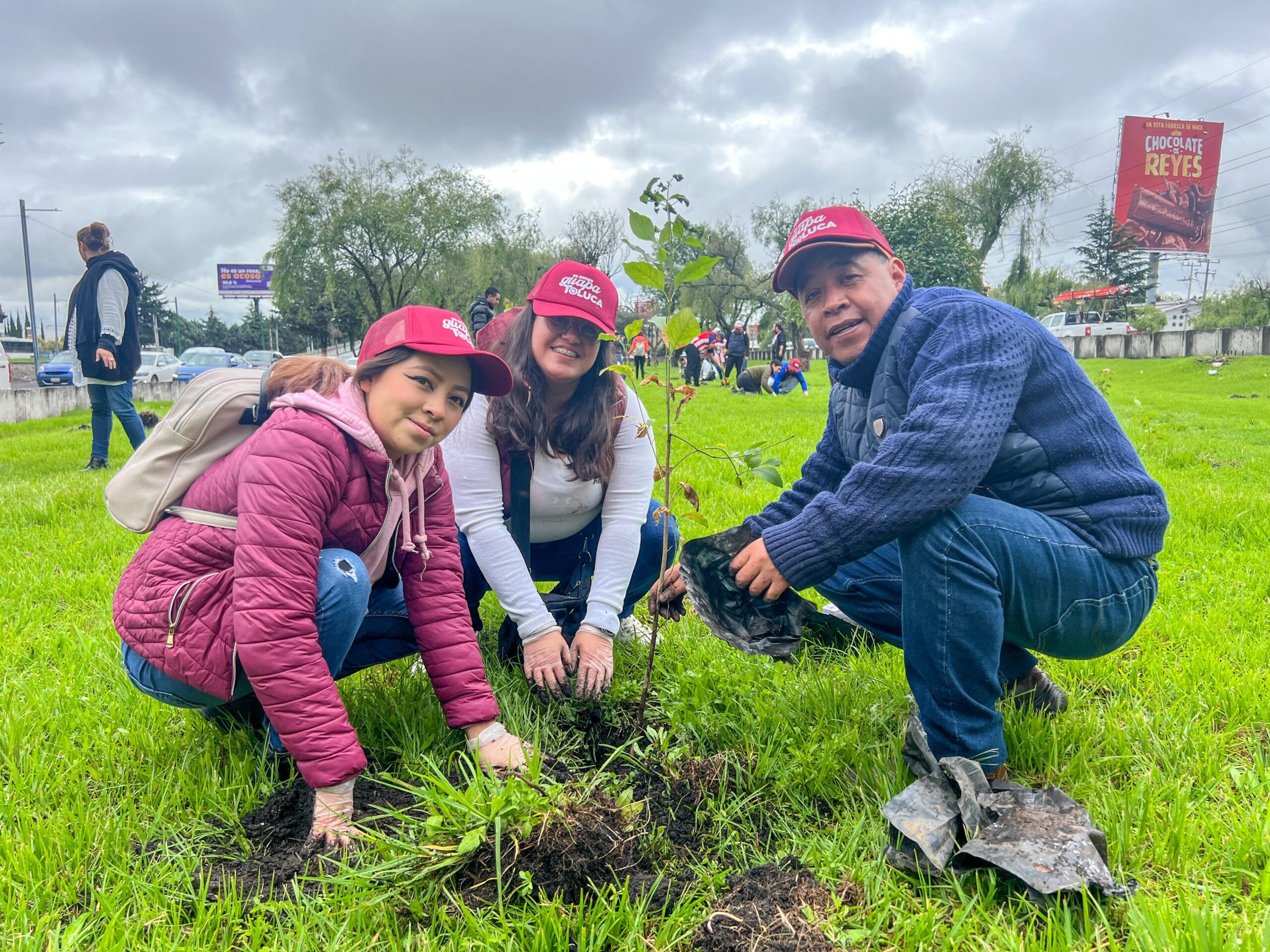 Inicia en Toluca histórica jornada de arborización