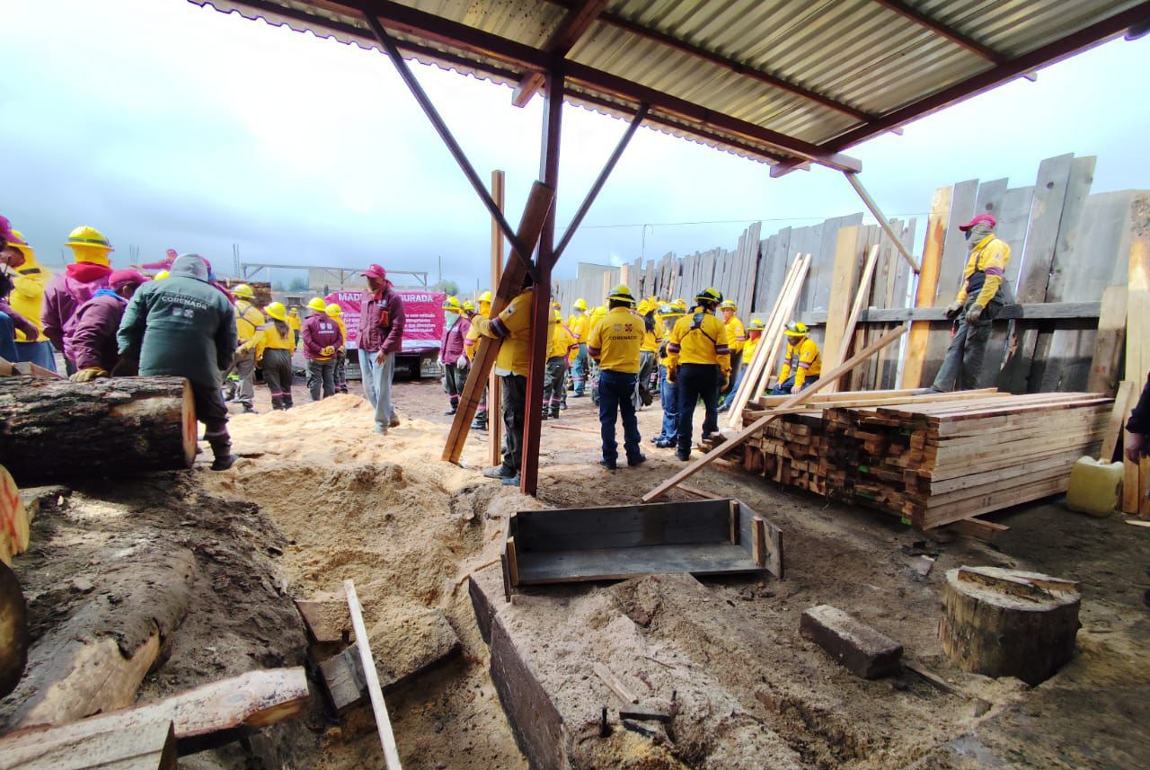 Clausuran Edomex y CDMX 4 aserraderos que operaban en Ocuilan
