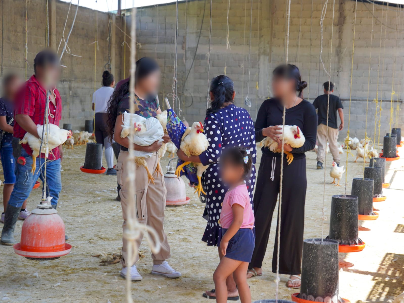 Concluye entrega de bienes perecederos decomisados en “Operación Liberación”