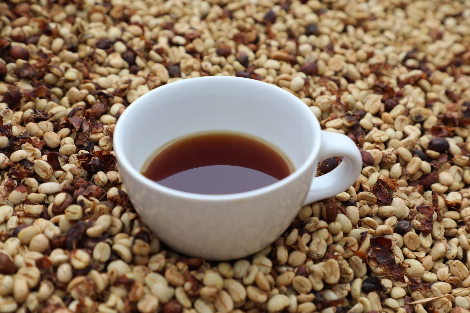 Realizarán Festival del Café en Toluca de este fin de semana