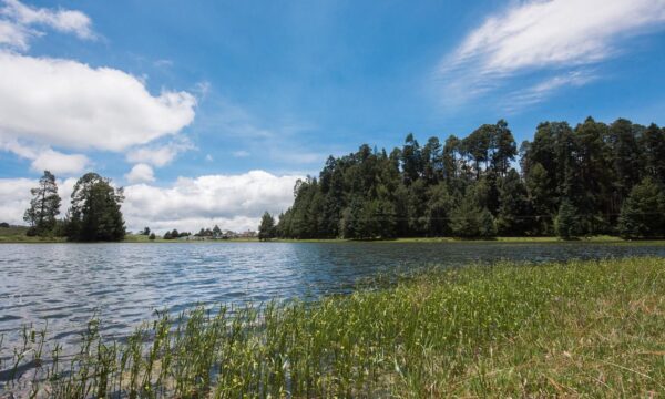 Logra GPPVEM aprobar reformas en biodiversidad, alimentación y deporte